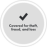 Theft and Loss Insurance